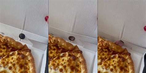 dog licking pizza through box